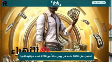 احصل على 6000 شدة في ببجي حالاً مع 2280 شدة مجانية الآن!